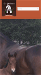 Mobile Screenshot of equinosconpasion.com